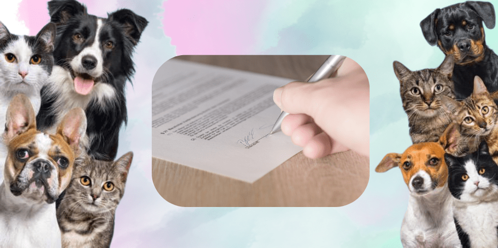 Conditions et tarifs d’adoption